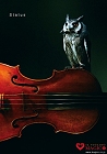 バイオリン専門店マジコ 画像 フリー　ご自由にお使いください