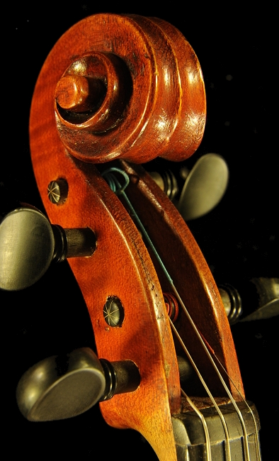 Gadda Mario Violin マジコ イタリア