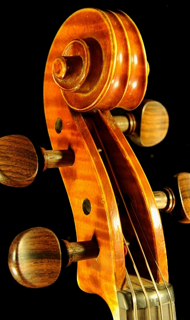 Gadda Mario Violin マジコ イタリア