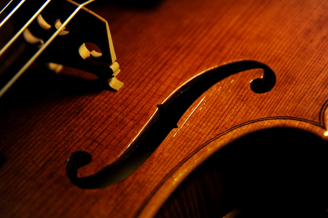 �}�W�R Eriko Tsuchiya �N�����i �C�^���A