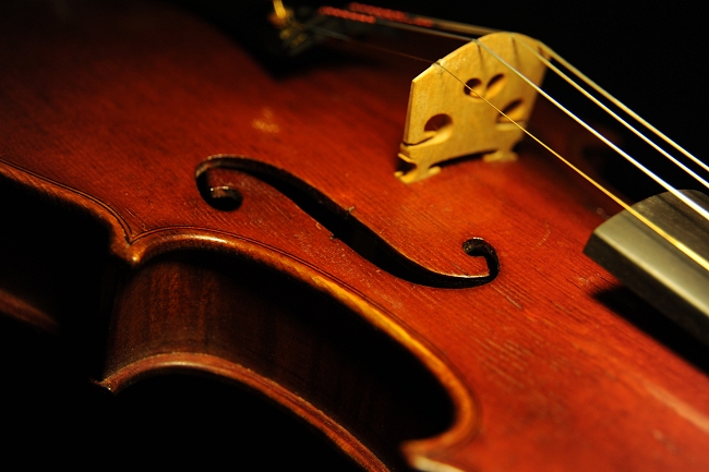 Carpi Violin Dosolo MAGICO