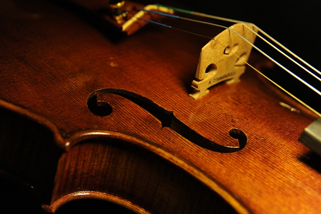 Commendulli Violin Cremona MAGICO