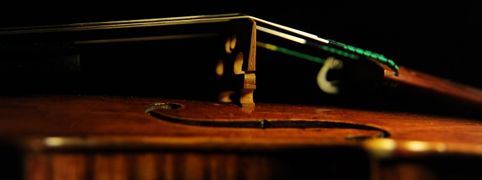 �o�C�I�������� �X�g���f�B���@���E�X Stradivarius