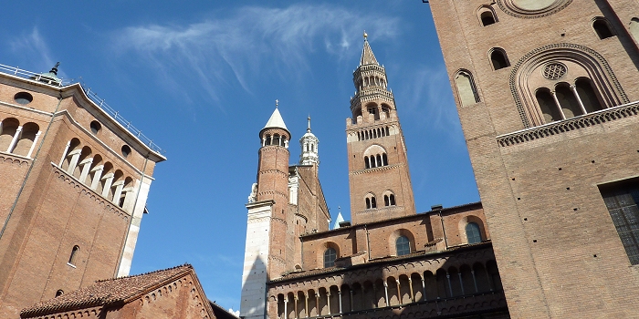 �o�C�I�������� Cremona �N�����i �X�g���f�B���@��