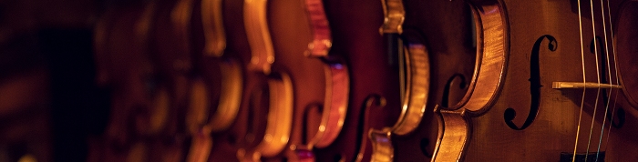 �o�C�I�������� �X�g���f�B���@���E�X Stradivarius